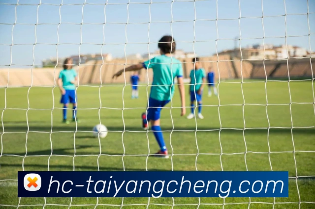 澳门太阳城平台生态图